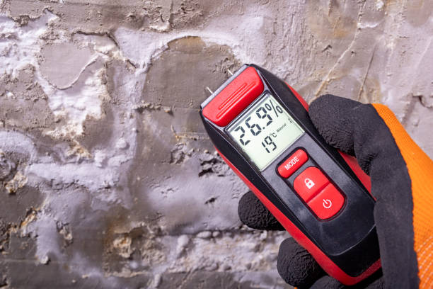 Best Residential Mold Removal  in Moody, AL