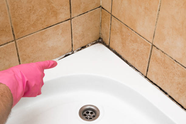 Best Certified Mold Removal  in Moody, AL